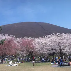 さくらの里