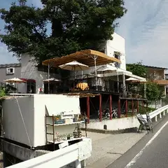 タンポポ