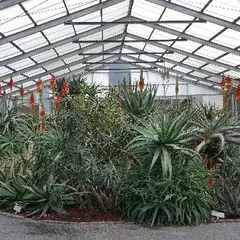 南伊豆アロエセンター
