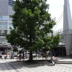 横須賀中央駅