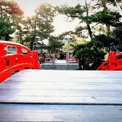 撫でうさぎ