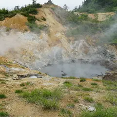 後生掛自然研究路