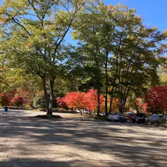 塔のへつり 木かげの駐車場