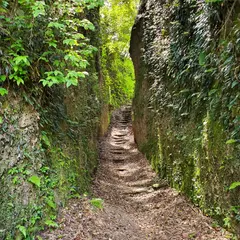 清色城 本丸跡