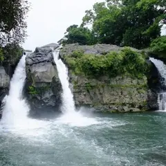 裾野市中央公園
