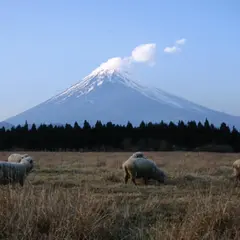 忠ちゃん牧場