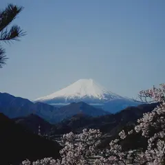 大月市