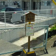 岐大口