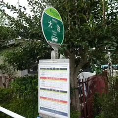大泊