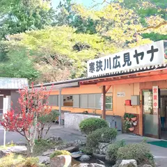 広見ヤナ