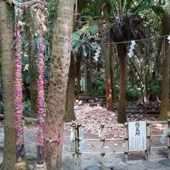 投瓮所