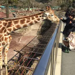 伊豆アニマルキングダム