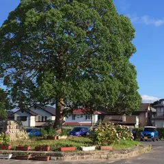 名張市立梅が丘小学校