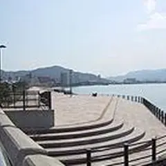 せとシーパレット