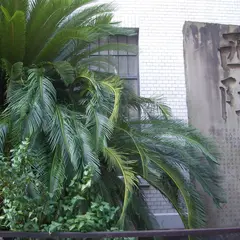 京都市考古資料館