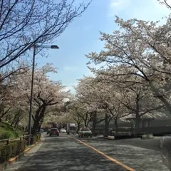 北の丸公園