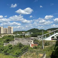 ホーム イン シャンハイ プドン エアポート フリー トレーディング エリア