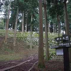 七尾城山