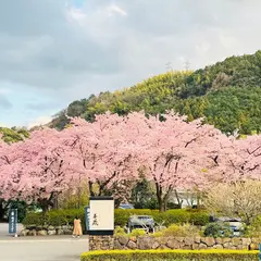 地下駐車場