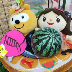 アルビス アリス店