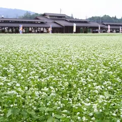 ちちぶ花見の里