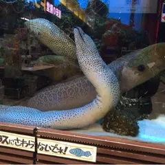 ドン・キホーテ 中目黒本店