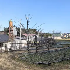 小平農村公園