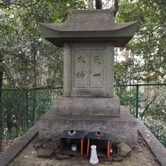 天一大神