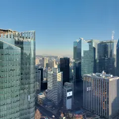Lotte Executive Tower