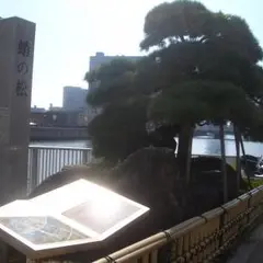 蛸の松