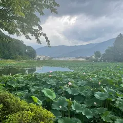 明見湖公園