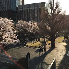 立教大学 池袋キャンパス