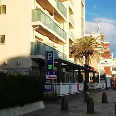 パークネット Dog dept garden resort 湘南江ノ島