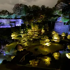 玉泉院丸庭園