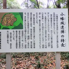 小幡城跡駐車場