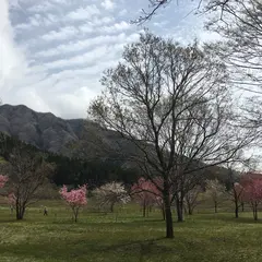 高森町 鍋の平キャンプ場