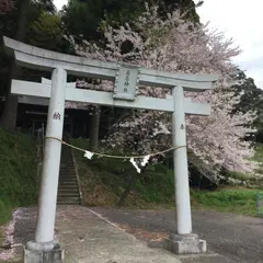 八幡神社から見える 桜並木