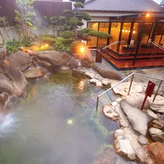 天然大和温泉 奈良健康ランド 奈良プラザホテル