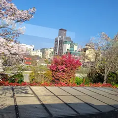 uraiso kyoto