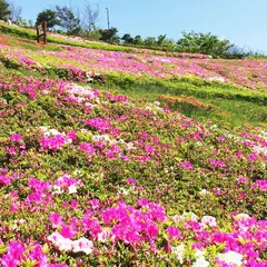 湘南国際村センター