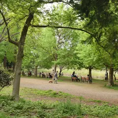 善福寺公園