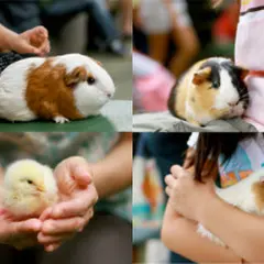 こども自然公園
