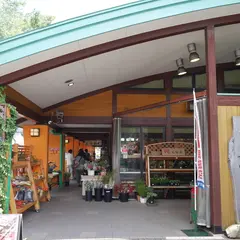 道の駅 どうし