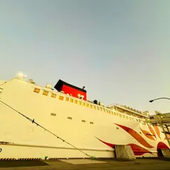 別府港さんふらわあターミナル（航路）