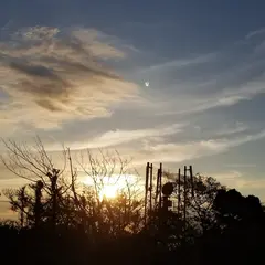 白浜町立 白浜第二小学校