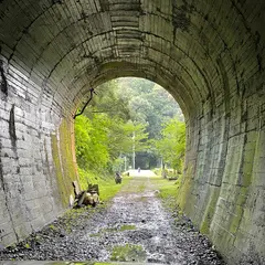 豊橋鉄道田口線・三河大草駅跡