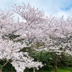 小木城山公園