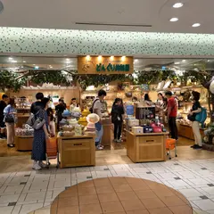 どんぐり共和国
