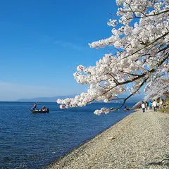 海津大崎