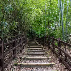 愛宕山